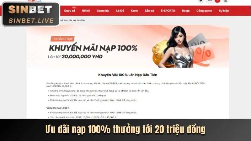 Hướng dẫn chi tiết cách nhận khuyến mãi Kimsport
